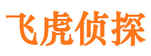 环翠市侦探调查公司